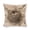 Pattern, variant on Pillow Covers Mallard Duck Couple Modern Pillow Cover Wild Duck Lover Duck Gift Mallard Throw Pillows for Couch 16"x16" Home Decoration for Sofa Couch Living Bed Room