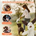 thumbnail image 6 of MASBRILL Dog Toys for Small Dogs ,10 Pack Puppy Chew Toys for Teething and Training with Plush Squeaky Toys, Treat Ball and Rope Toys to Keep Them Busy，White Dog, 6 of 8