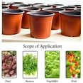 thumbnail image 5 of 4/6-inch Plant Baby Pots, Plastic Seedling Pots, Seed Starting Pots, Flower and Plant Containers, Suitable for Succulent Plants, Seedlings, Cutting, and Transplantation, 5 of 7