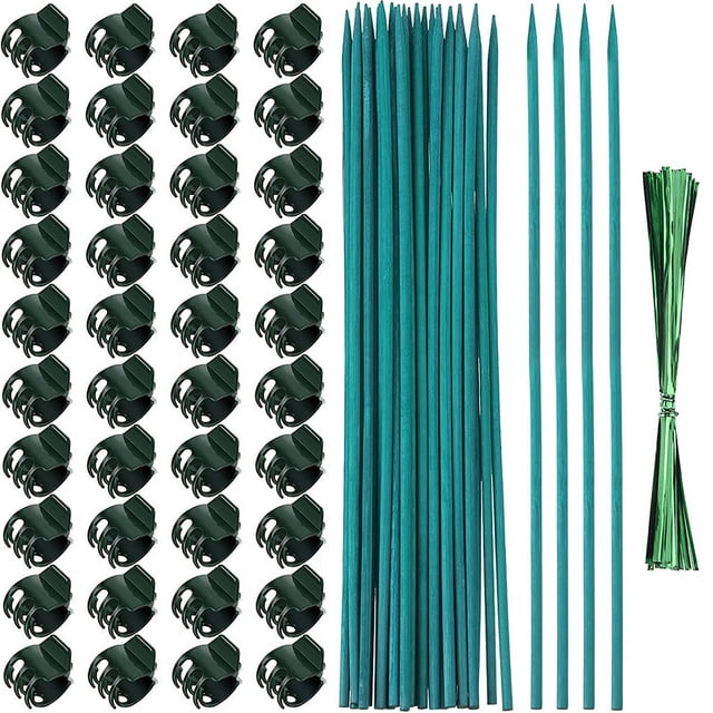 Palo de bambú JAMW para arreglos florales 38 cm estacas de soporte de ramas