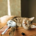 thumbnail image 4 of 3-in-1 Cat Steam Brush & Pet Grooming Kit - 2025 New Water Spray Hair Removal Comb for Shedding Control - Works on Cats, Dogs & Small Animals with One-Click Release, 4 of 6
