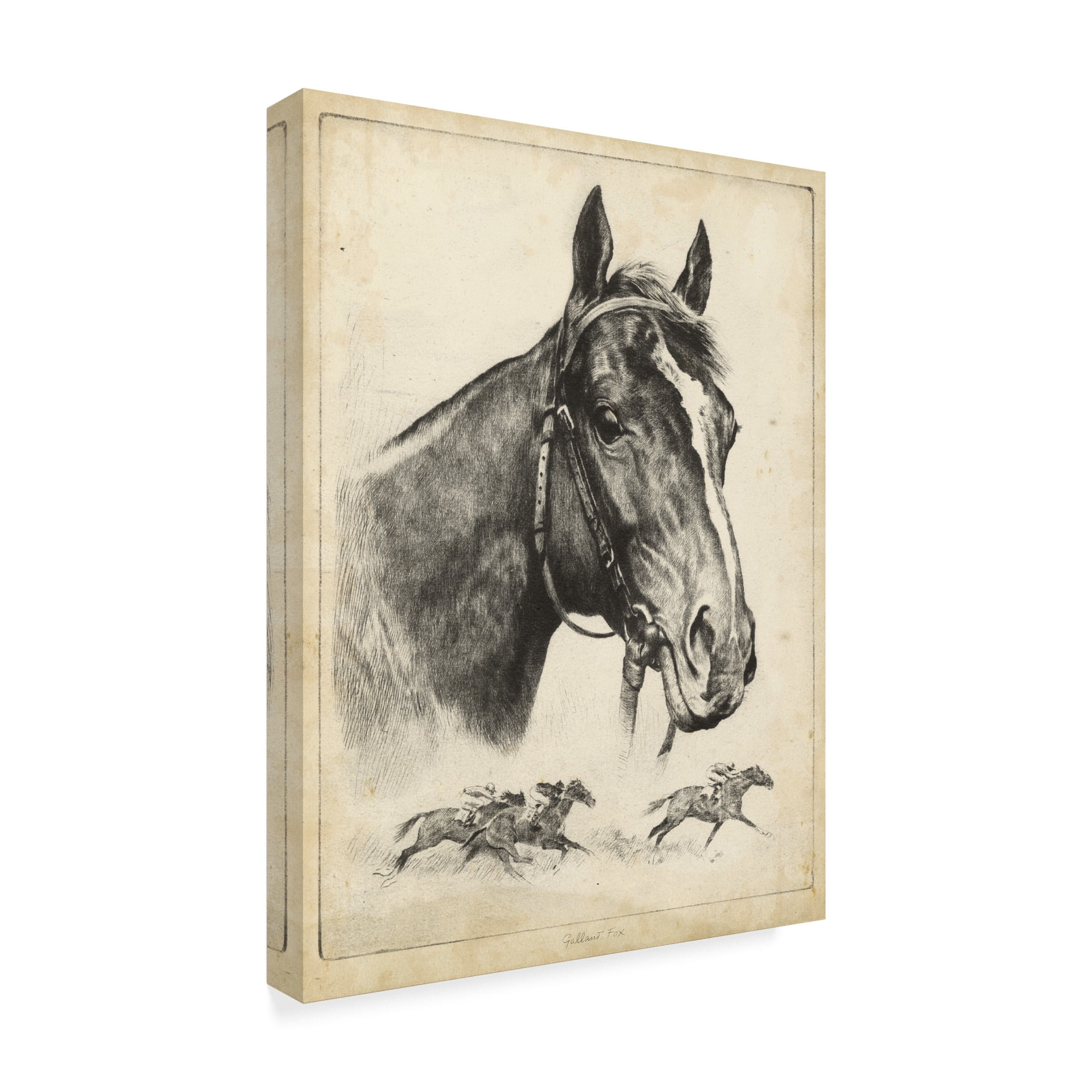 Trademark Fine Art 'Gallant Fox' Canvas Art by R.H. Palenske