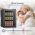 thumbnail image 4 of Northair 2.1 Cu ft Compact Mini Display Glass Door Freezer for Home and Commercial, 4 of 9