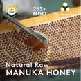 thumbnail image 2 of New Zealand Honey Co. Raw Manuka Honey UMF 10+ | MGO 263+ 8.8 oz, 2 of 9