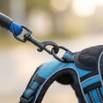 thumbnail image 6 of Dog Harness and Leash Set, Front Clip Harness Dog, No Escape Dog Harness, Adjustable Straps, Heavy Duty Straps, Blue, Xl, 4Ft in Leash, 2 Pc, Neighborhood Canine Walks, 6 of 6