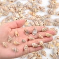 thumbnail image 4 of Approx 800pcs Tiny Natural Sea Shells Mini Ocean Beach Spiral Conch  for DIY Crafts Vase Fillers Wedding Party Garland Table Decoration, 4 of 8