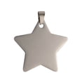 thumbnail image 2 of RuiJiao Dog Pet Stainless Steel Engraved Lettering Loss Tag, 2 of 9
