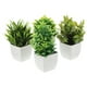 thumbnail image 4 of 4 piezas de plantas artificiales de escritorio para decoración del hogar, 4 of 6