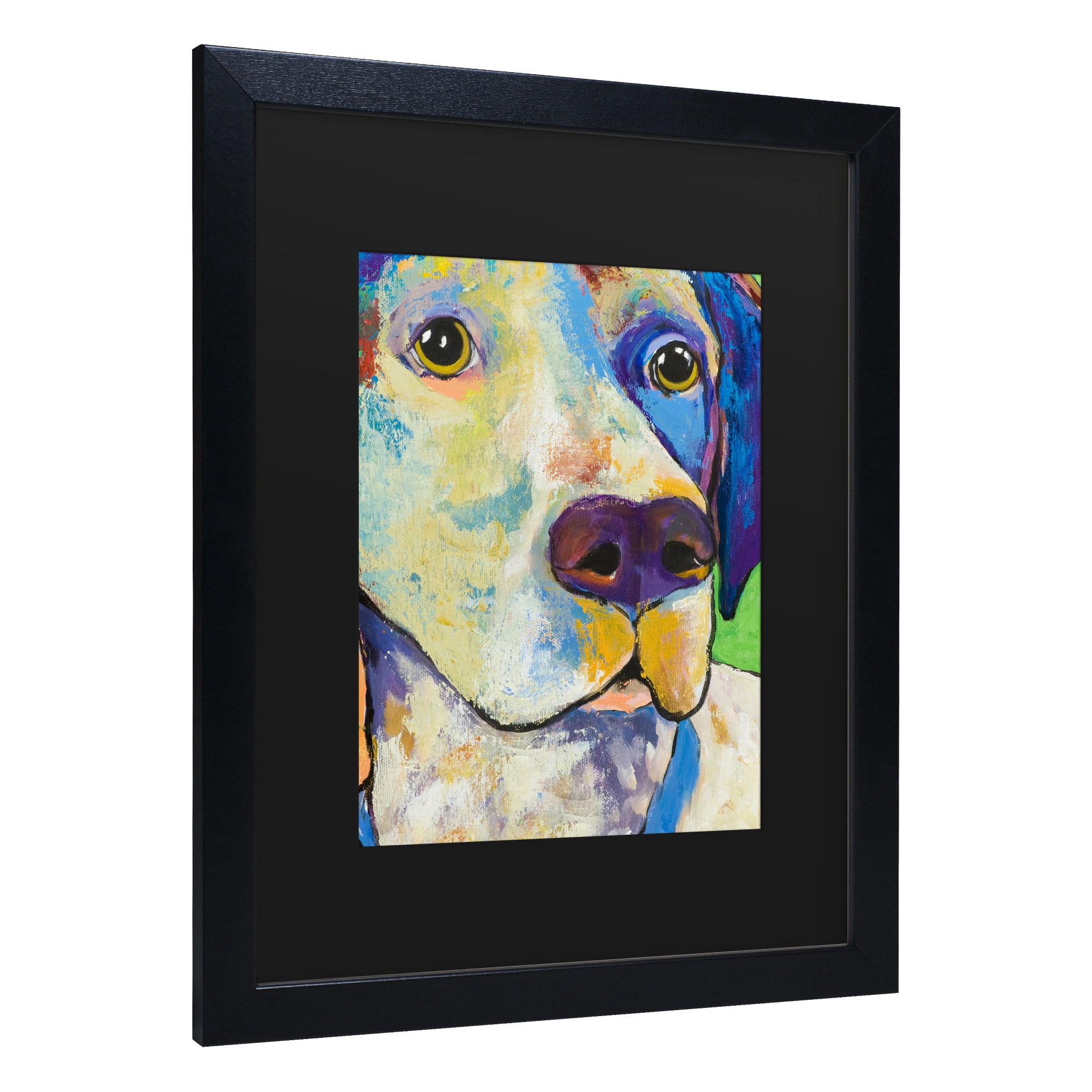 Trademark Fine Art 'Yancy' Canvas Art by Pat Saunders-White
