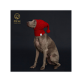 thumbnail image 1 of Italian Greyhound & Weimaraner: Cozy Red Knitted Pom-Pom Dog Hat In Waffle Pattern, 1 of 5