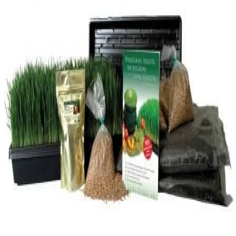 Certified Organic Wheatgrass Growing Kit Grow & Juice Wheat Grass