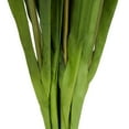 thumbnail image 5 of 35" Plastic Floral Tall Iris Artificial Flower Stem, by DecMode (8 Count), 5 of 9