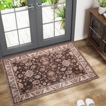 Lochas Vintage Floral Rugs Soft Accent Area Rug Fluffy Carpet for Bedroom Living Room Home Decor,2'x3',Brownish Red