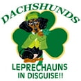 thumbnail image 3 of CafePress - Dachshunds Are Leprechauns In Women's Light Pajama - Women's Short Sleeve Print T-Shirt and Pants Light Cotton Pajama Set, 3 of 7