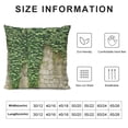 thumbnail image 5 of Autua Vines Plants Graphic Decorative Cushion Throw Pillow Cover for Home Couch Living Room Bed Sofa Short Plush Aesthetic Decor 1PC 24x24in, 5 of 5