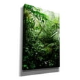 thumbnail image 2 of Cortesi Home 'Misty Rainforest Creek' by Nicklas Gustafsson Canvas Wall Art, 18"x26", 2 of 2
