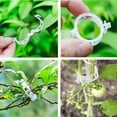 thumbnail image 4 of 100pcs Garden Plant Clips Fixed Plastic Plant Clips Garden Clips For Climbing Plants Plastic Clips Plant Support Clips Tomato Rattan Plant Clips, 4 of 8