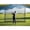 Black, variant on 10x7FT, Portable Golf Practice Hitting Net for Backyard, Training Equipment with Carry Bag for Swing Chipping Training, Ideal for Outdoor Indoor