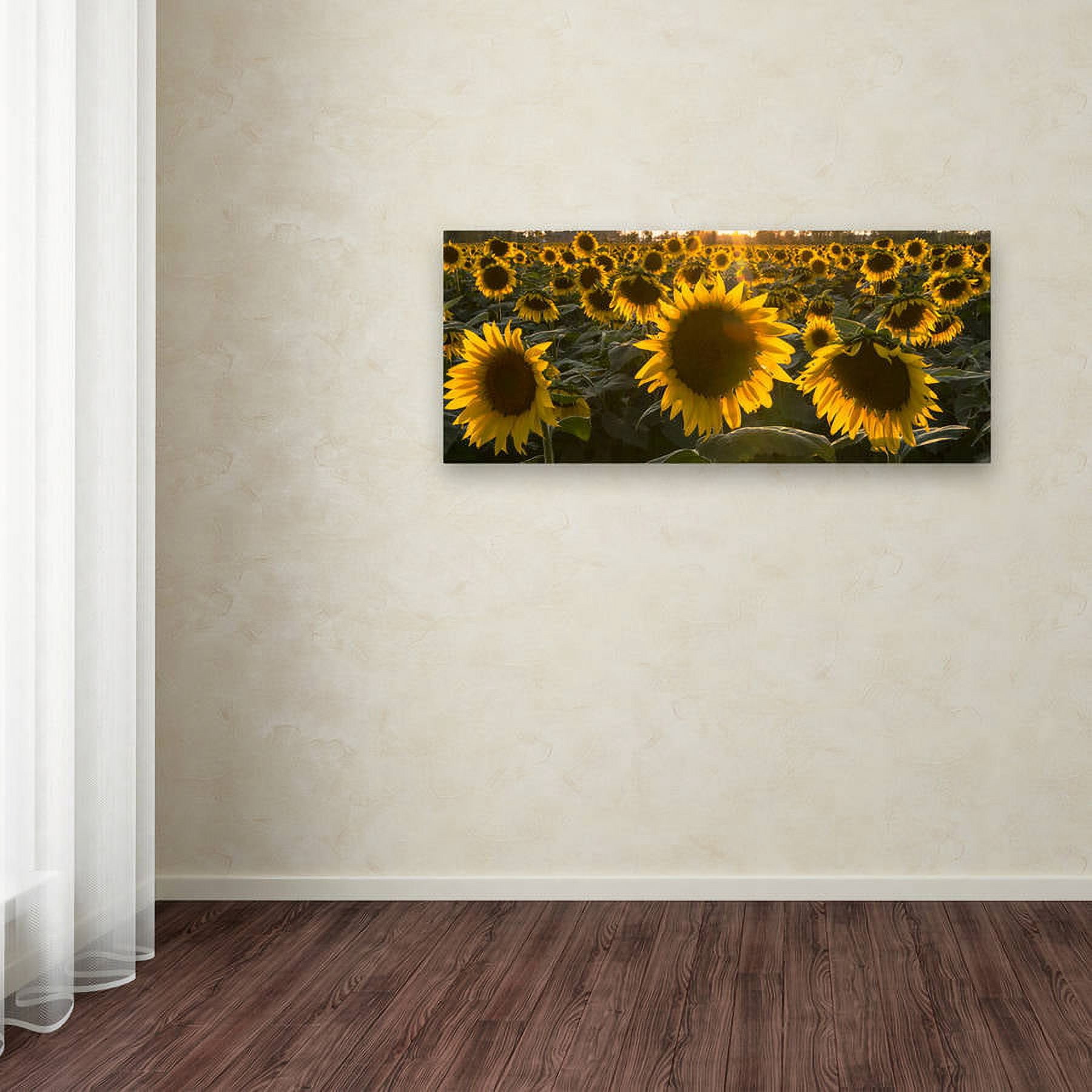Trademark Fine Art "SUN Flower Love" Canvas Art by Kurt Shaffer