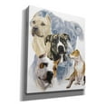 thumbnail image 2 of Epic Graffiti 'American Staffordshire Terrier' by Barbara Keith, Canvas Wall Art, 20"x24", 2 of 8