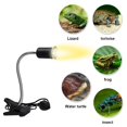thumbnail image 3 of 75W Reptile Heat Lamp Tortoise Heat Lamp, 3 of 4