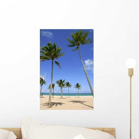 Beach Tropical Florida Day Wall Mural By Wallmonkeys L And Stick Beach Tropical Florida Day Wall Mural By Wallmonkeys L And Stick Graphic 18 In H X 12 W Wm37399