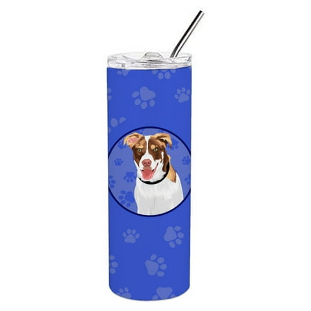 

Caroline s Treasures WDK1007TBL20 Australian Shepherd Red and White Design2 Stainless Steel 20 oz Skinny Tumbler Blue