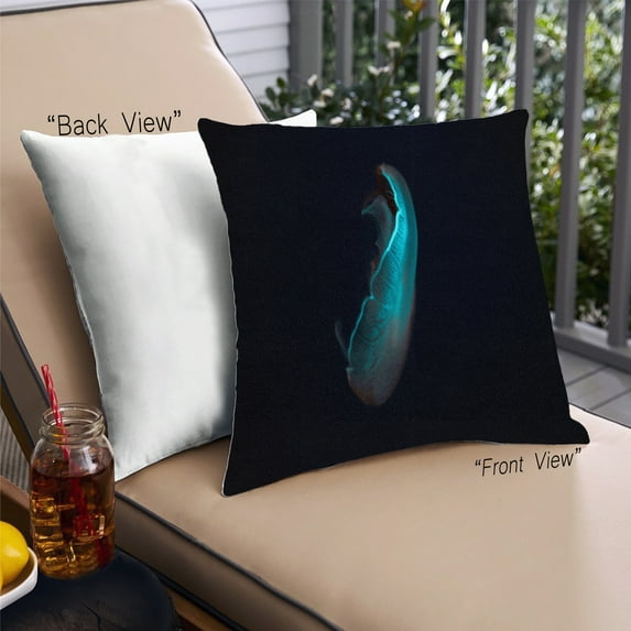 Ahgly Company Animals Jellyfish Outdoor Throw Pillow, 18 inch by 18 inch