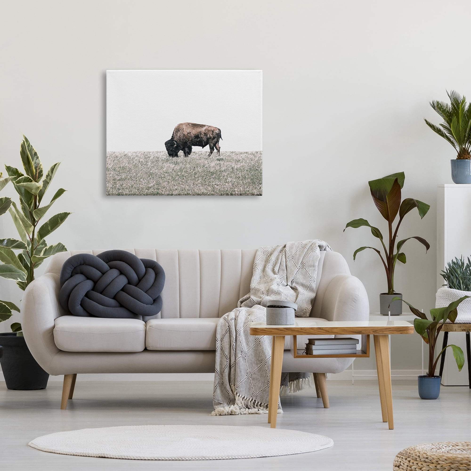 Stupell Industries Buffalo Grazing Pasture Animals & Insects Photography Gallery Wrapped Canvas Art Print Wall Art, 40 x 30