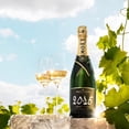 thumbnail image 3 of Pack de 4 Champagne Moet & Chandon Impérial Grand Vintage 2015 750 ml, 3 of 3