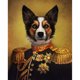 thumbnail image 1 of Taladro Pintura Diamante (DE5778) DIY 5D Mosaico Royal Pet Dogs Kit Redondo Completo (B537) 50x70cm FLhrweasw Nuevo, 1 of 1