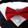 thumbnail image 3 of Collar de Pajarita para Mascotas Zulema Esmoquin, 3 of 7
