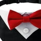 thumbnail image 3 of Collar de pajarita formal para mascotas, boda para perros Esmoquin Bandana Poliéster con Fácil de utilizar Toalla triangular suave para Colco Collar de pajarita para mascotas, 3 of 7