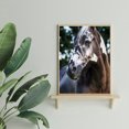 thumbnail image 4 of Cuadros Decorativos Pintura de diamante de taladro redondo completo 5D DIY decoración arte Animal hogar dibujo de imagen Ndcxsfigh Nuevos Originales, 4 of 8