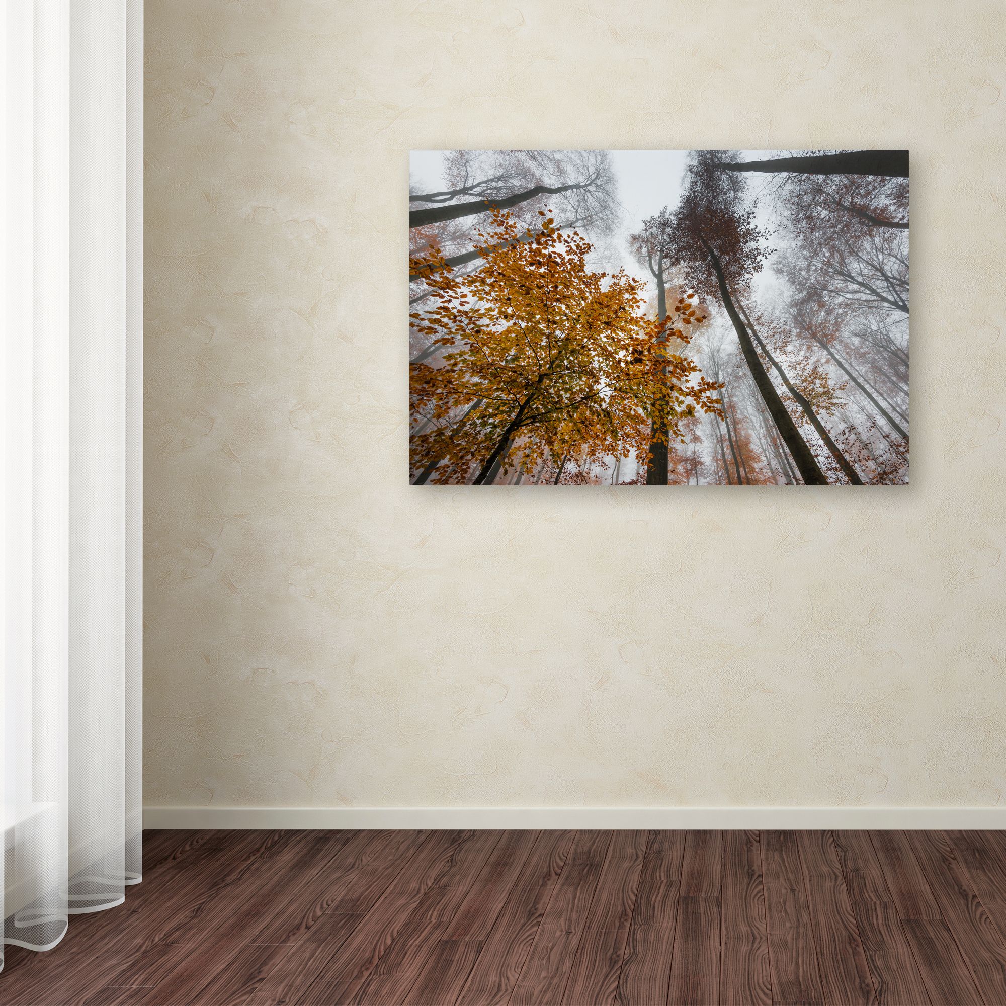 Trademark Fine Art "Daydreamer" Canvas Art by Philippe Sainte-Laudy