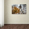 thumbnail image 3 of Trademark Fine Art "Daydreamer" Canvas Art by Philippe Sainte-Laudy, 3 of 3