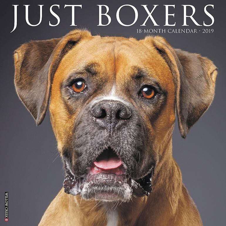 Just Boxers 2019 Wall Calendar (Dog Breed Calendar) (Other) Walmart
