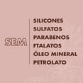 thumbnail image 2 of Champú para rizos Shea Moisture coco e hibisco 384 ml, 2 of 8