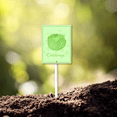 thumbnail image 3 of Eveokoki Farming Vegetable Garden Sign Cabbage Sign with Stake 7x8.8inch Aluminum Outdoor Decoration Sign Rustproof Sturdy Aluminum Sign for Outdoor Use Easy Install Set of 1, 3 of 6