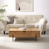 Gap Home 43" Modern Lift-Top Coffee Table with Side Storage, English Oak