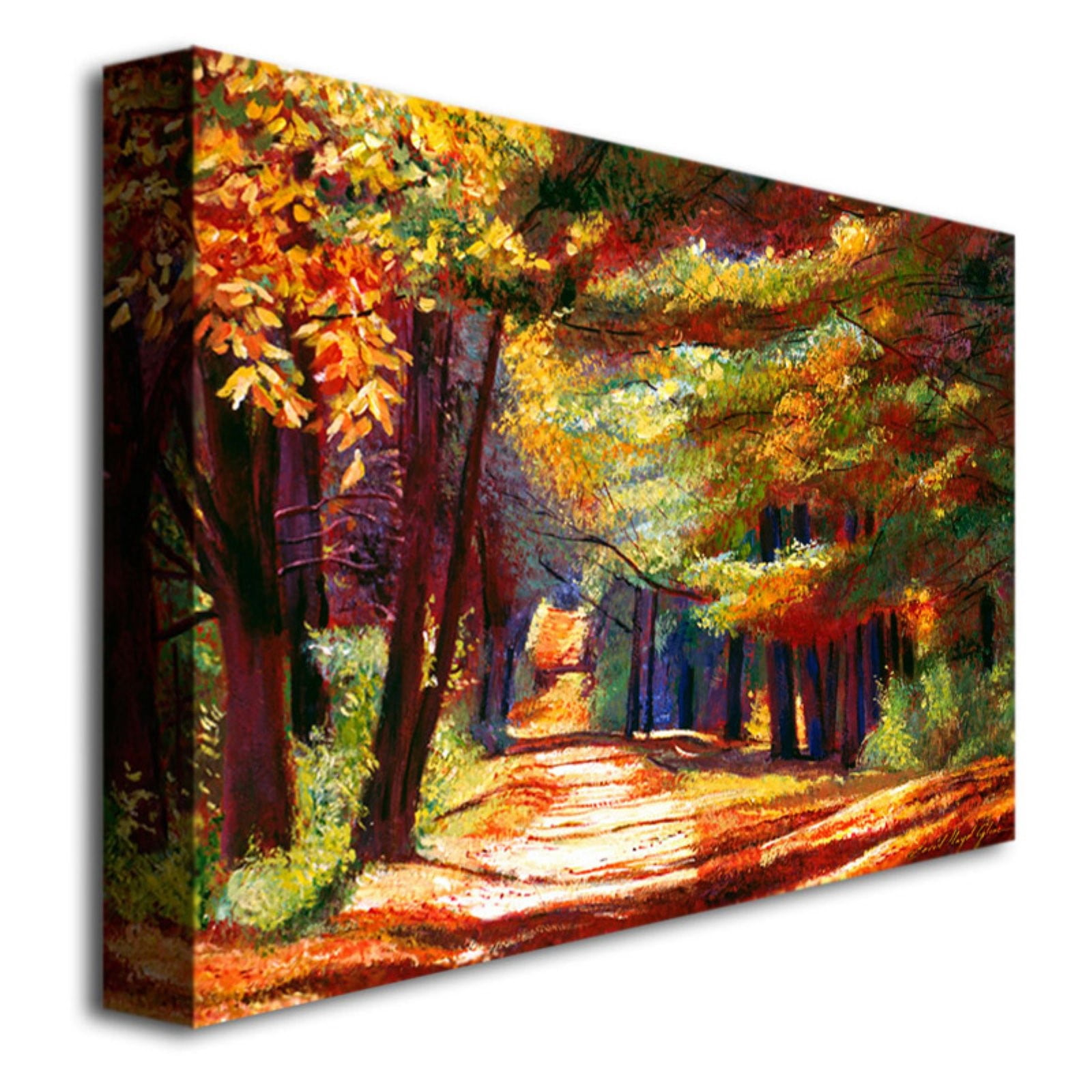 Trademark Art "September Song" Canvas Wall Art by David Lloyd Glover