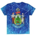 thumbnail image 2 of Maine Vintage Distressed State Flag All Over Youth T Shirt Multi YLG, 2 of 2