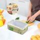 thumbnail image 1 of Ganfancp Múltiples Tipos de Cajas de Conservación Grandes Medianas Pequeñas Circulares Selladas a Prueba de Fugas Fiambreras Espesadas Refrigeradores Cajas de Conservación de Alimentos Ofertas y Liqu, 1 of 3