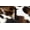 Black J Ivory, variant on Manfei Sports Ball 100% Cotton Fabric 3 Yards, Baseball Glove Room Decor Fabric