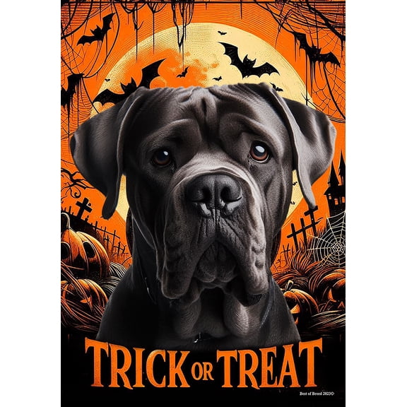 Cane Corso Black Uncropped - Best of Breed  Halloween House Flag 28" x 40"