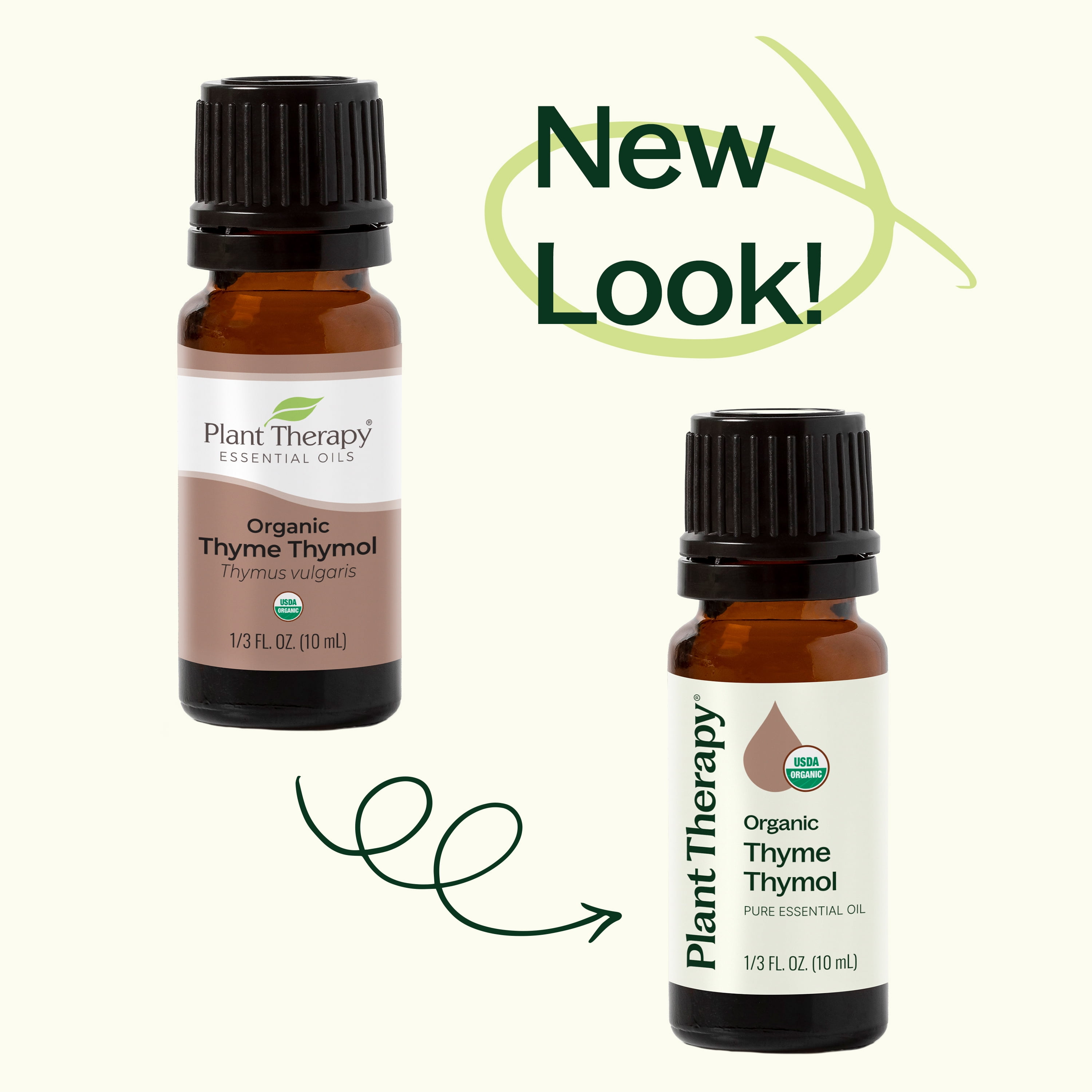 Plant Therapy Thyme Thymol Organic Essential Oil 10 mL (1/3 oz) 100% Pure, Undiluted, Natural Aromatherapy
