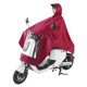 thumbnail image 1 of Chubasquero para coche eléctrico impermeable de una pieza capa de lluvia para adultos de una pieza para montar al aire libre capa de lluvia para motocicleta con estampado Zefei Wu  9024735130260, 1 of 3