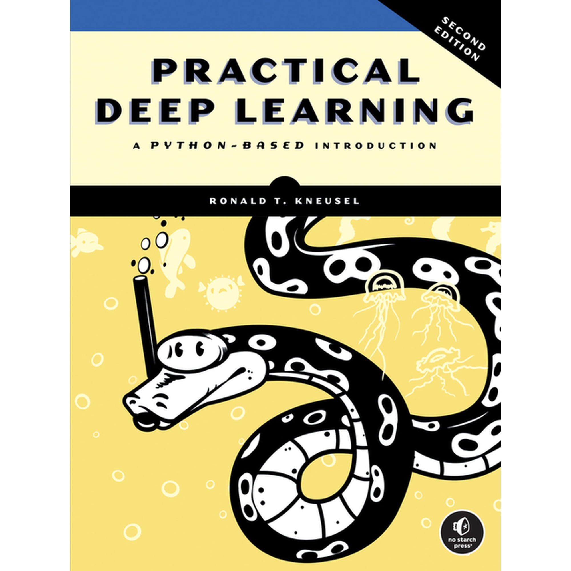 Practical Deep Learning 2nd Edition: A Python-Based Introduction (Paperback)
