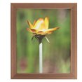 thumbnail image 4 of ArtToFrames 8x12 inch  Brown Veneer Picture Frame,  Multi 8" x 12" Wood Poster Frame (WOM-5136), 4 of 7