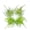 4 Pack Artificial Air Plants, variant on 4 Pack Artificial Air Plants Faux Flocking Tillandsia Air Plants Bromeliads for Home Decor Terrarium Decoration Artificial Succulents Plants Arrangement